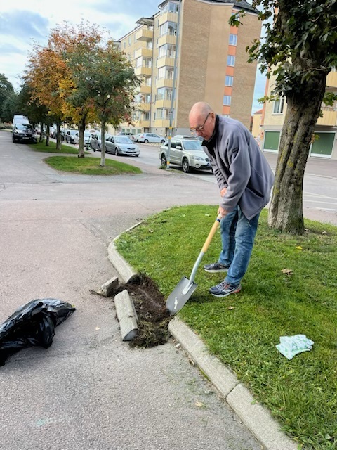 Höststädning bild 1
